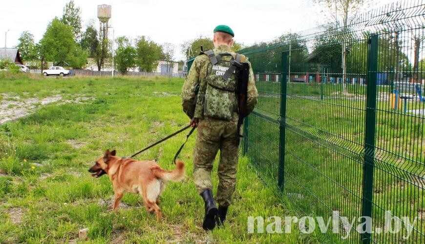 Два пункта пропуска на белорусско-украинской границе вернулись к прежнему режиму работы