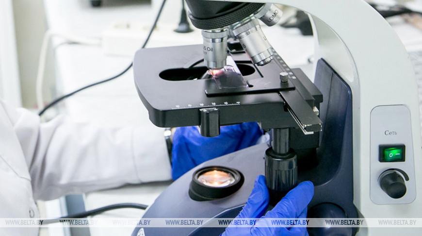 Ученые НАН и ГГУ будут создавать новые керамические материалы и вакуумно-плазменные технологии