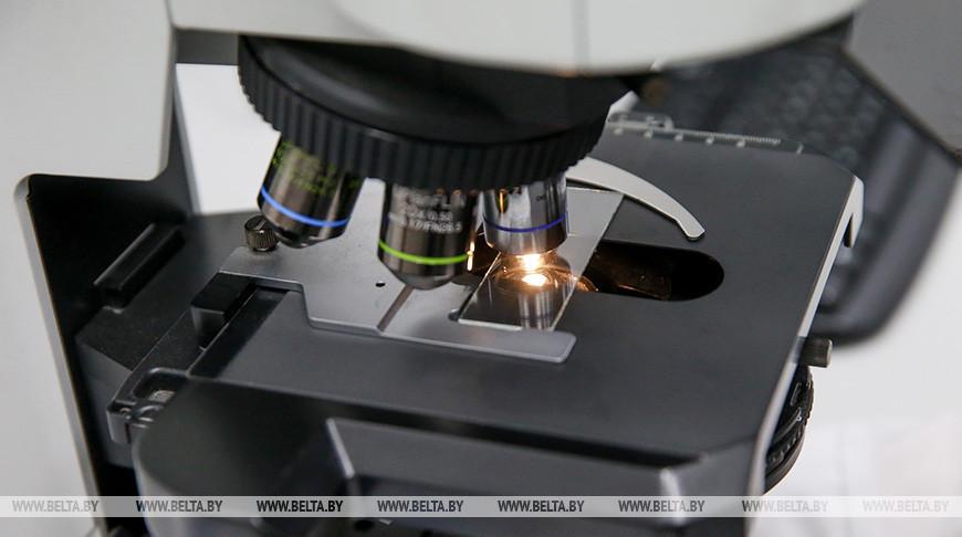 Ученые из Австралии создали модель эмбриона человека из клеток кожи