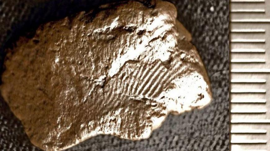 Отпечаток пальца давностью 5 тыс. лет обнаружили в Великобритании