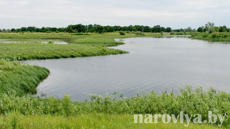 Акция «Чистый водоем» стартует в Беларуси