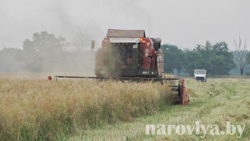 В Гомельской области зерновые убраны на 23% площадей
