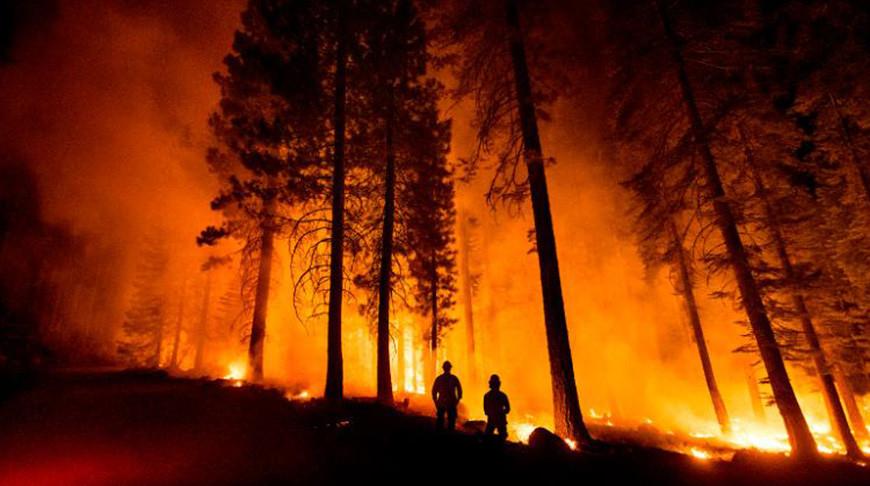 Лесной пожар «Дикси» в Калифорнии уже охватил более 253 тыс. га