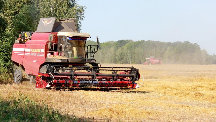 Аграрии Гомельской области убрали более половины площадей зерновых