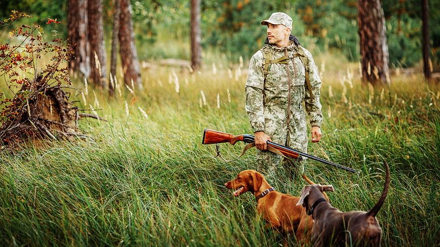 Осенний сезон охоты на пернатую дичь открывается в Беларуси 18 сентября