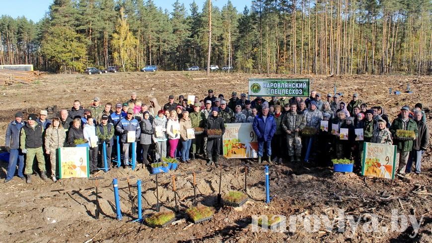 Акция «Чистый лес» прошла активно на Наровлянщине