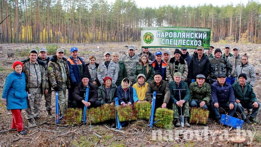 В Год народного единства ветераны спецлесхоза приняли участие в посадке леса