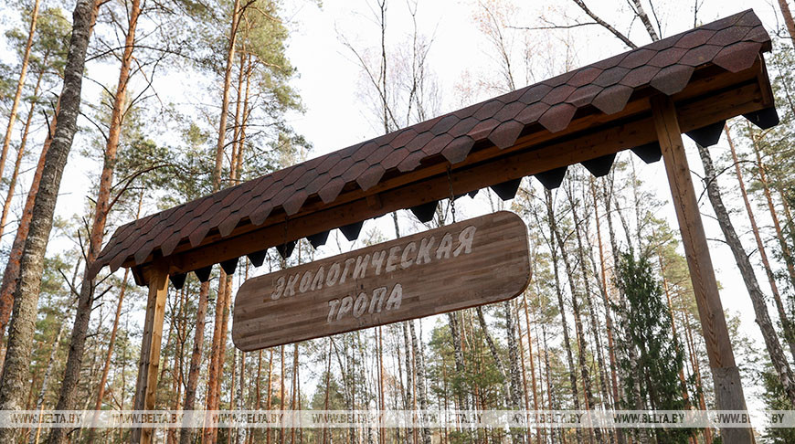 Визит-центр, водные и пешие маршруты: в Гомельской области развивают экологический туризм