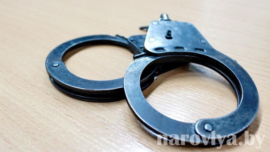 Гражданин Р. из Наровлянского района арестован за попытку изнасилования