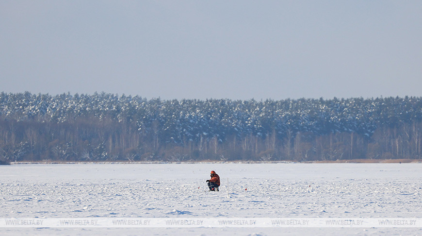 В Беларуси с 25 декабря запретят ловить налима