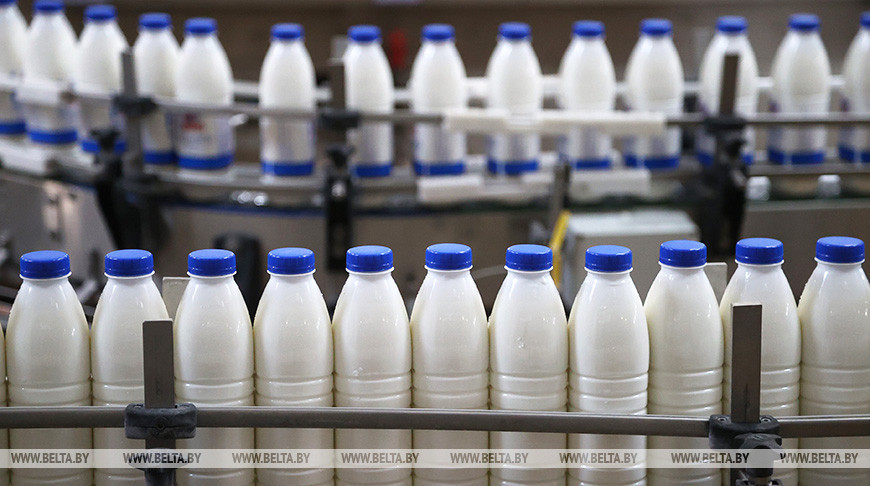 Россельхознадзор снял ограничения на поставки кормов, мясной и молочной продукции 19 предприятий Беларуси