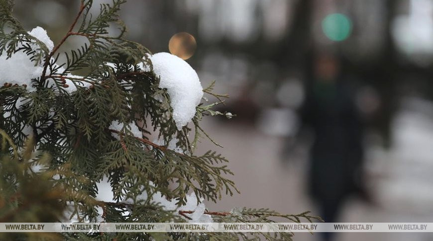 Мокрый снег ожидается местами по  Беларуси 12 марта