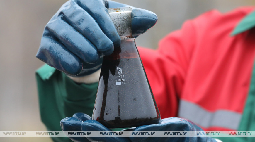 Более 6 млн т: новые нефтяные залежи и месторождение открыты в зонах Припятского прогиба