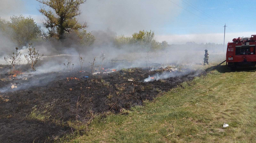 В Гомельской области при пожарах в экосистемах с начала года погибли 7 человек