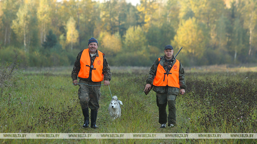 Шуневич рассказал о развитии охотничьего туризма в Беларуси