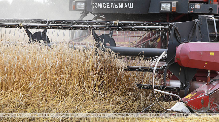 Аграрии Гомельской области должны подготовить комбайны к уборке зерновых до 1 июля