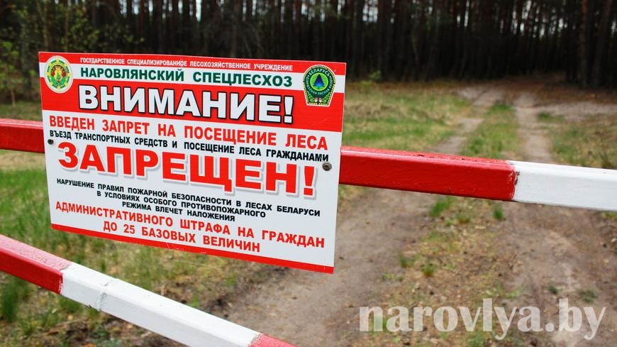 В 11 районах Гомельской области сохраняется запрет и ограничения на посещение лесов, в том числе и в Наровлянском районе