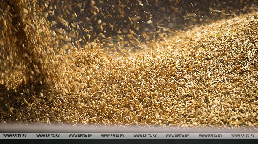 Минсельхозпрод: страна будет обеспечена продовольственным зерном и крупами