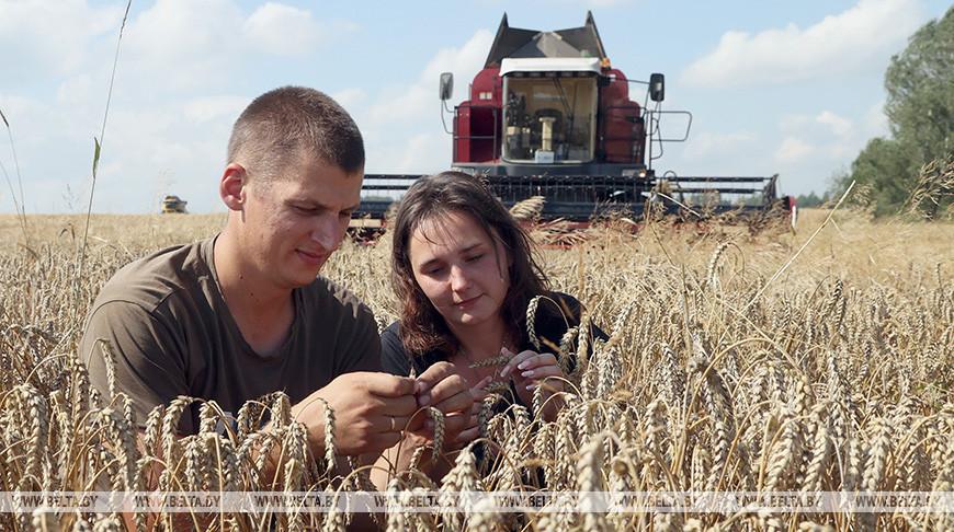 БРСМ дает старт республиканскому проекту «Молодежь — за урожай»
