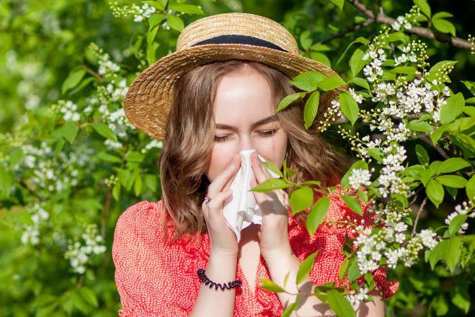 Как диагностировать и лечить сезонную аллергию – врач рассказал о поллинозе