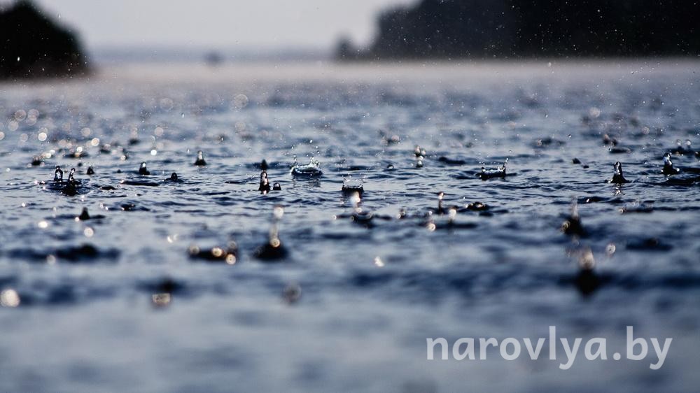 Неустойчивая с дождями погода сохранится в Беларуси с 4 по 9 ноября