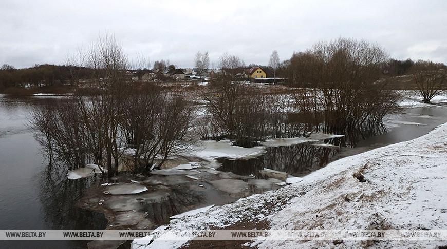 Талые воды подтопили подворья в 10 районах Гомельской области