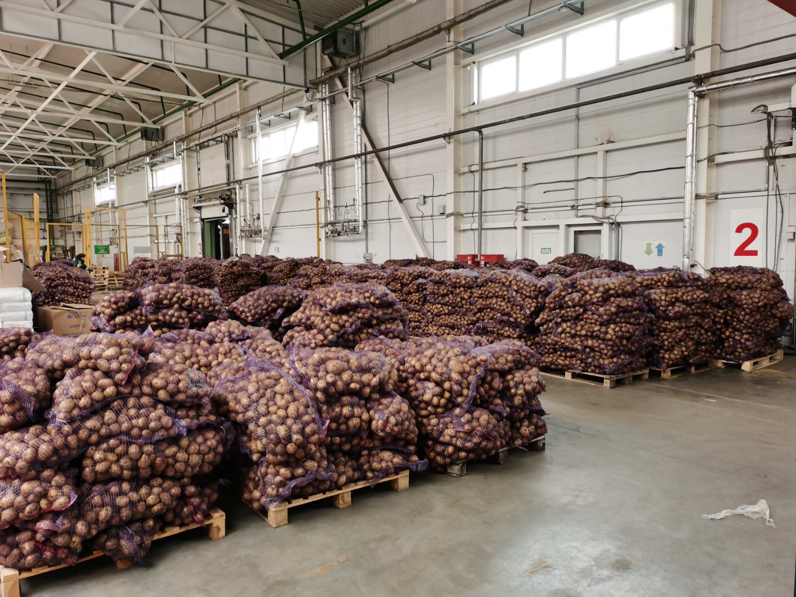 30 тонн картофеля пытались незаконно вывезти из Беларуси