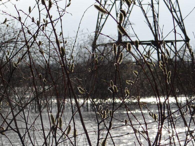 Уровень воды в реках Гомельщины на 10 апреля