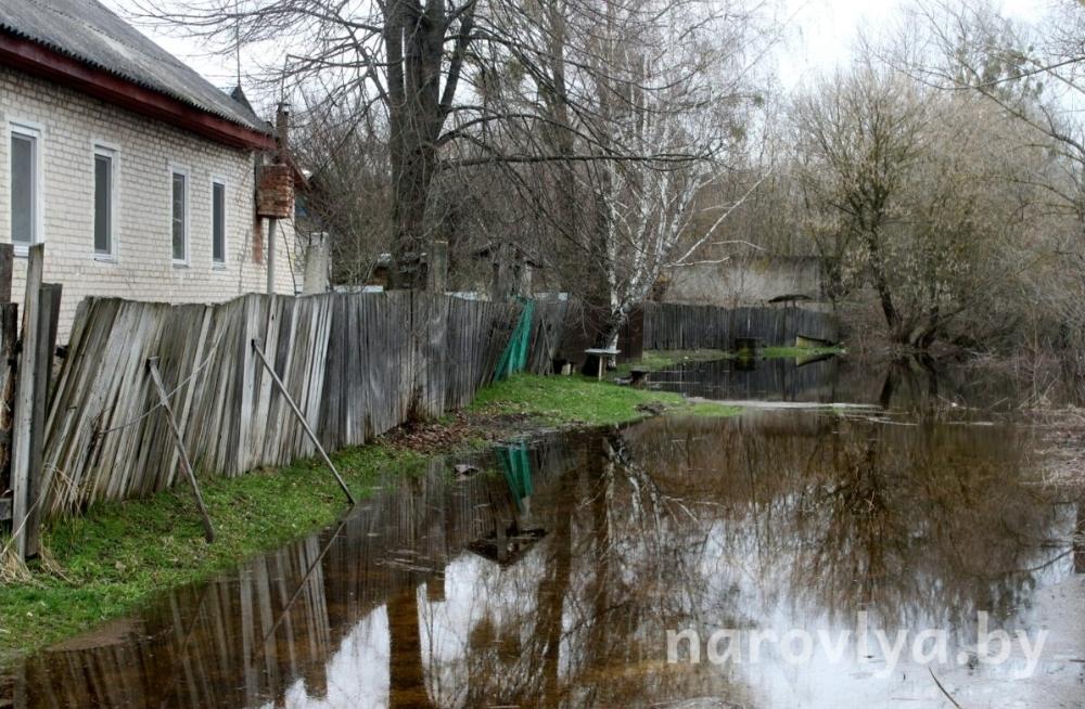 Уровень воды в реках Гомельщины на 11 апреля