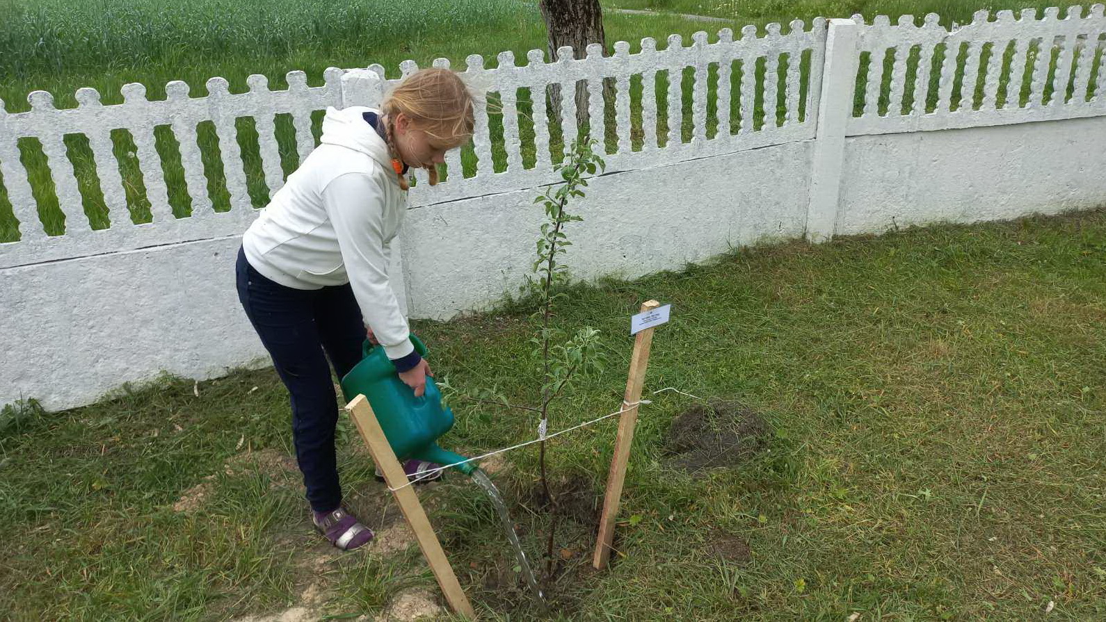 Учащиеся Вербовичской базовой школы высадили яблоневый сад