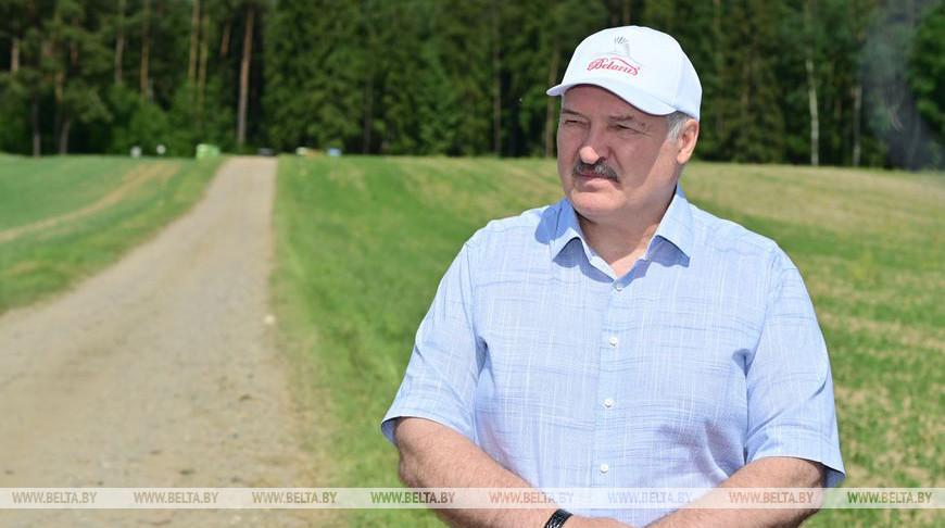 Переломный момент в сельском хозяйстве. Какой сельхозкультуре Лукашенко уделяет особое внимание