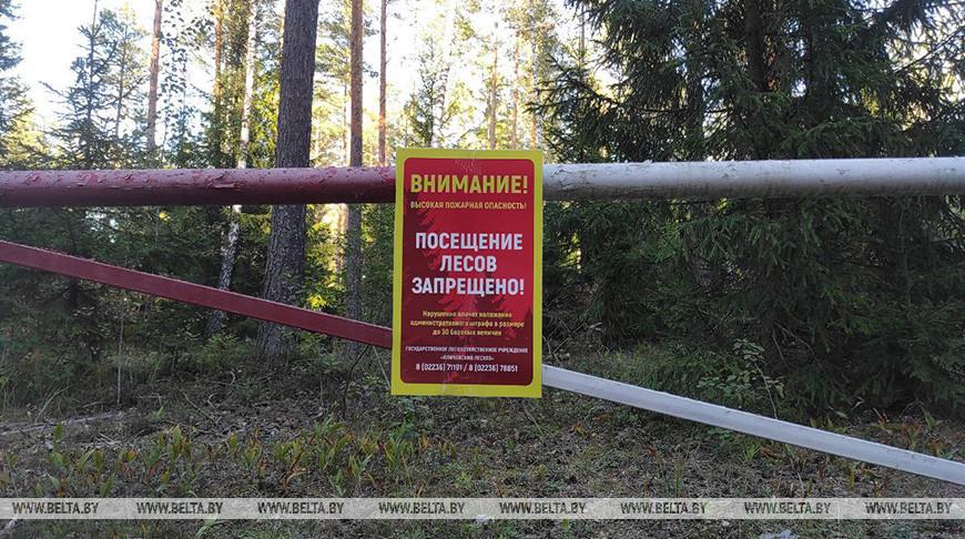 Ограничения и запреты на посещение лесов действуют во всех районах Беларуси