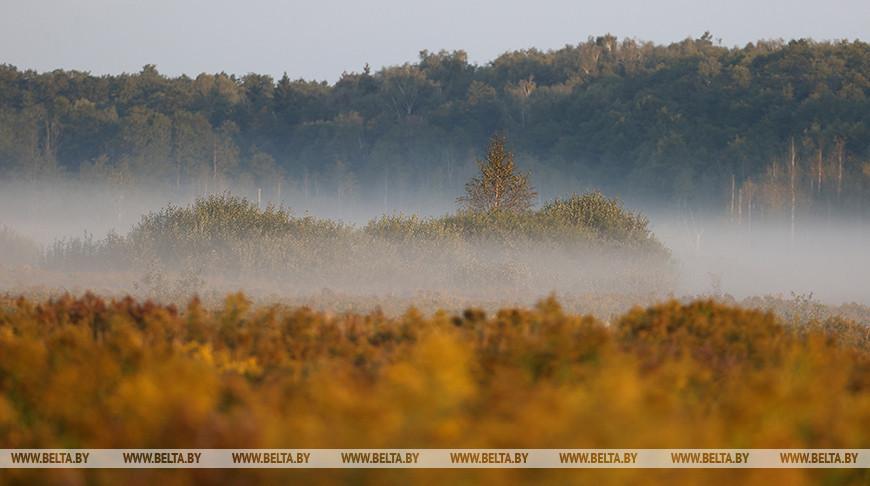 Слабый туман, без осадков и до +21°С ожидается сегодня в Беларуси