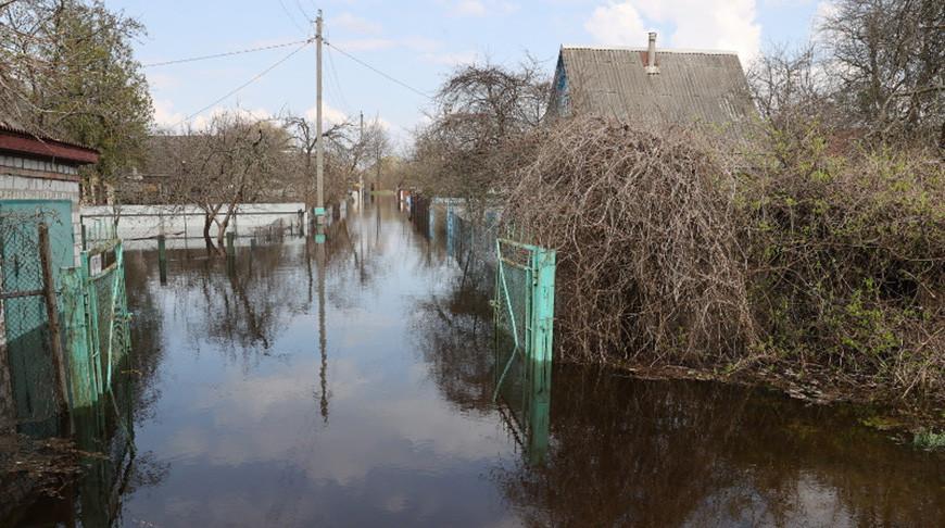 Подтопления талыми и паводковыми водами зарегистрированы в четырех районах Гомельской области