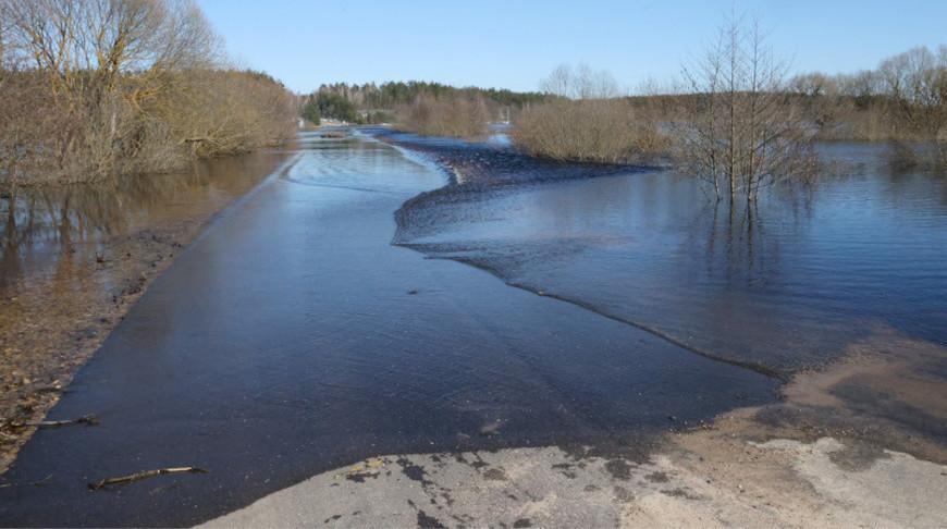 В Гомельской области талые воды подтопили за сутки дома и дорогу