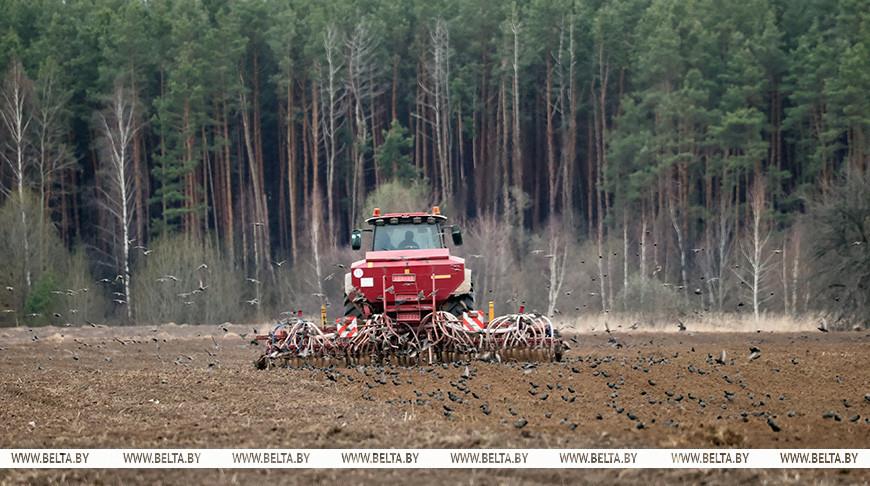 Идеальные условия. Лукашенко о погоде и ситуации в сельском хозяйстве после зимы