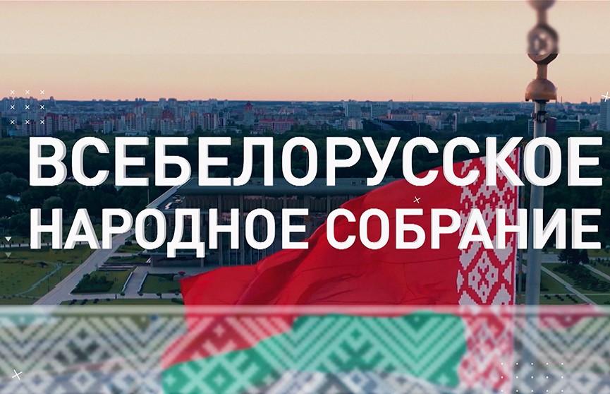 В Беларуси идет выдвижение кандидатов в делегаты ВНС. Что важно знать