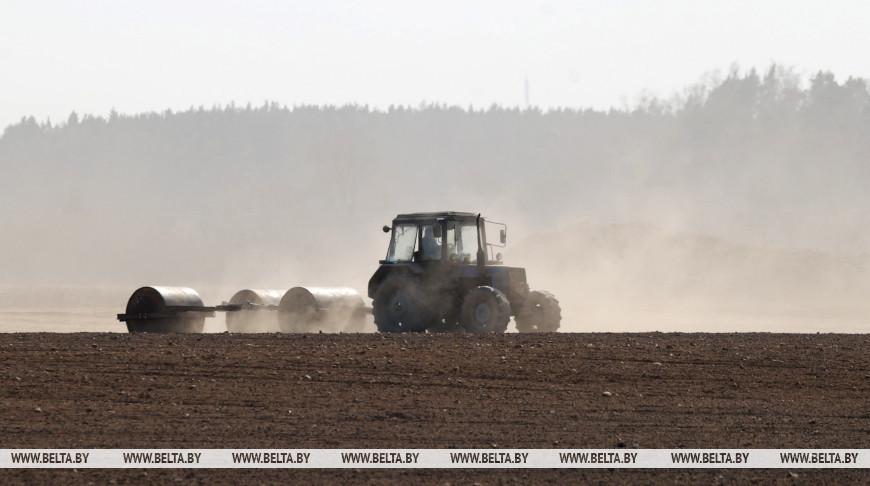 В Беларуси начался сев кукурузы