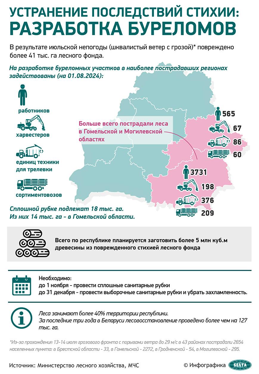 Устранение последствий стихии: разработка буреломов