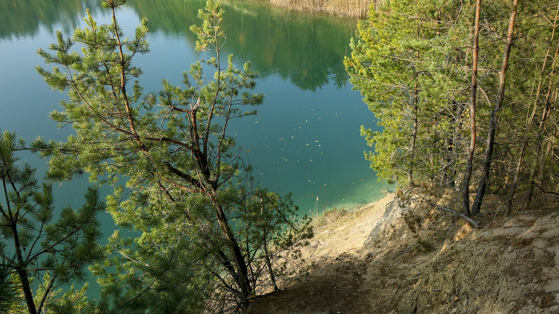 Гэты дзень у календары