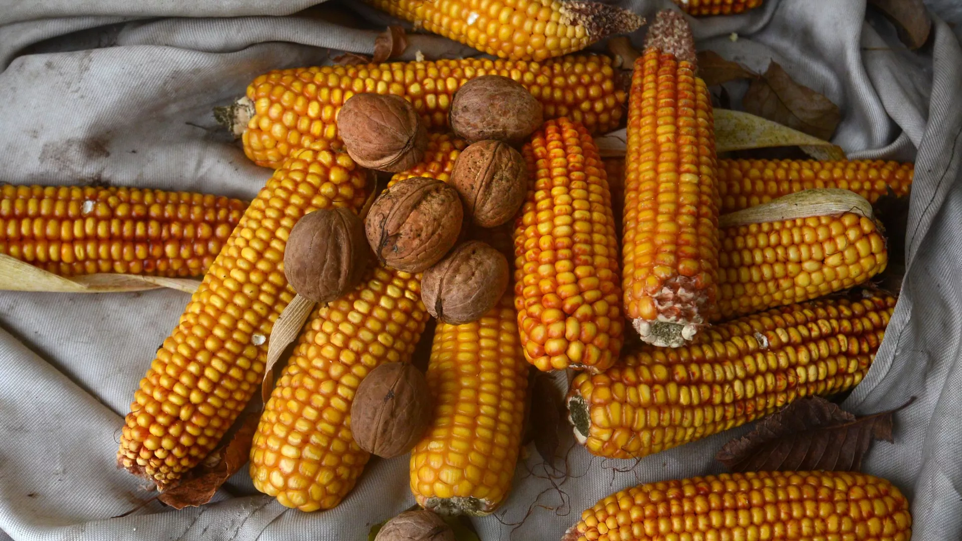 Гэты дзень у календары