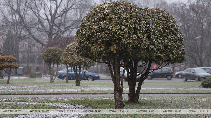 Ночью и утром туман, местами слабый гололед. Погода в Беларуси 30 ноября