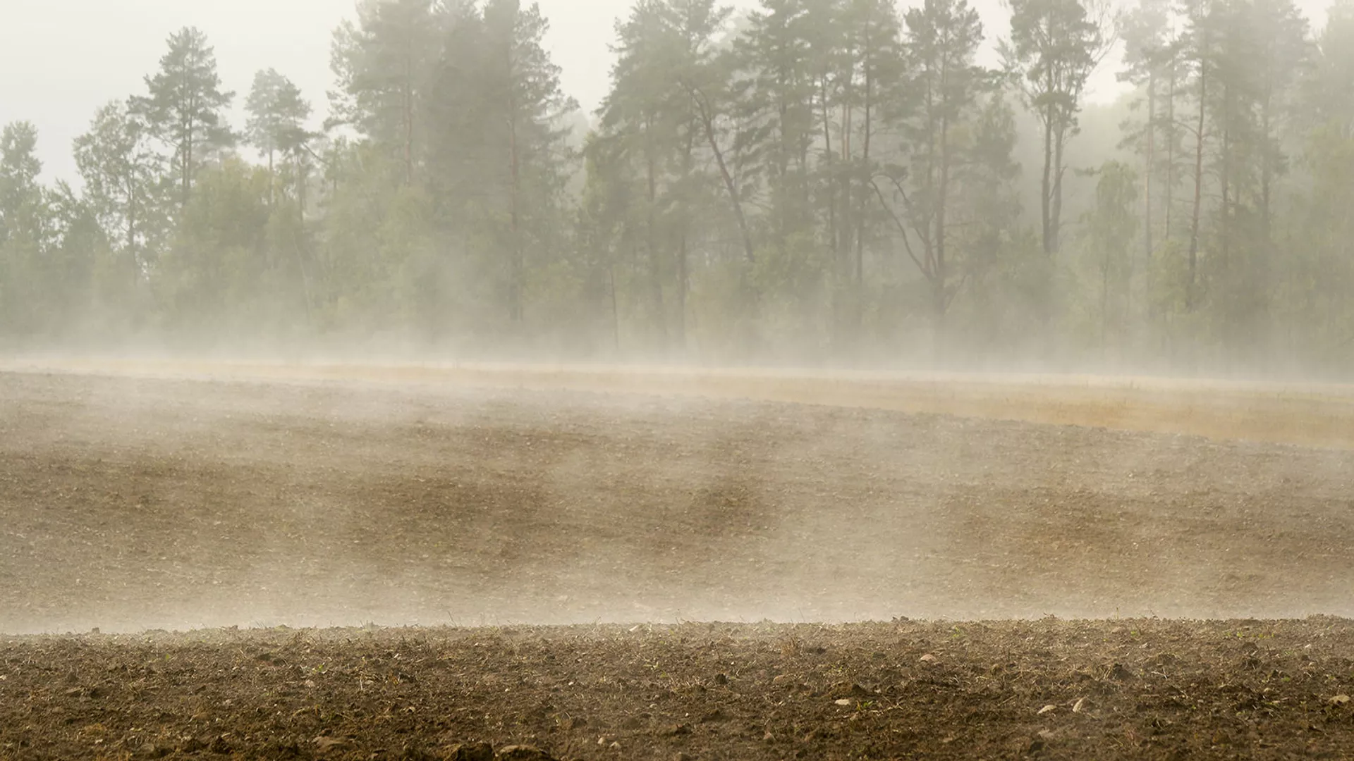 Гэты дзень у календары