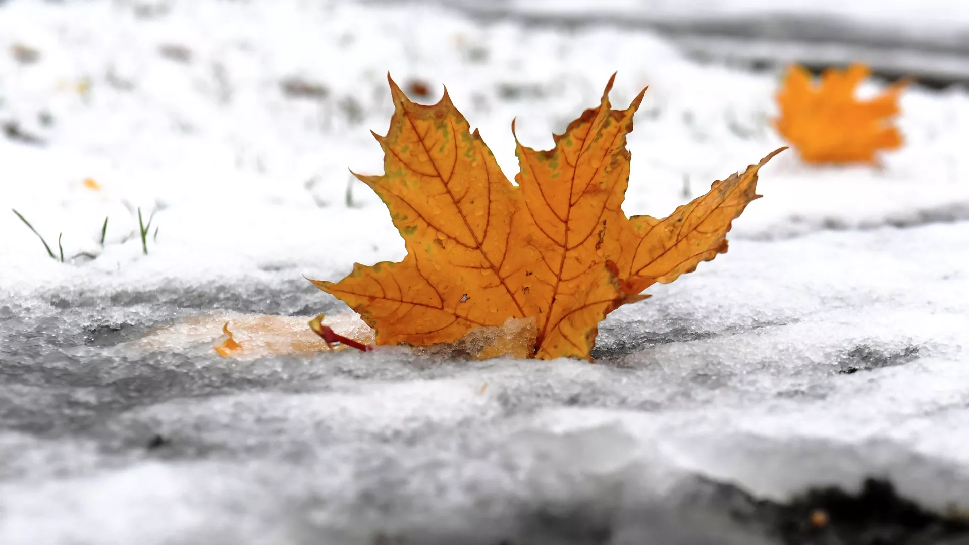 Гэты дзень у календары