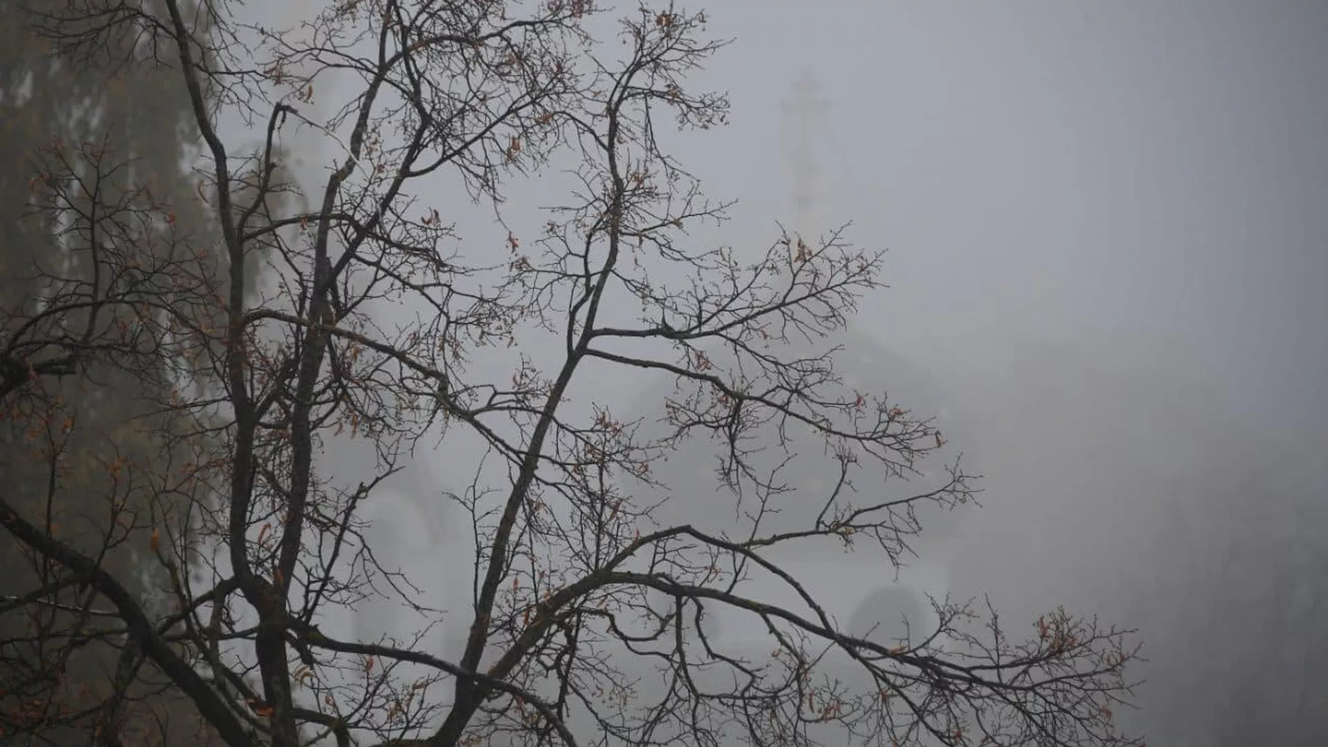 Гэты дзень у календары