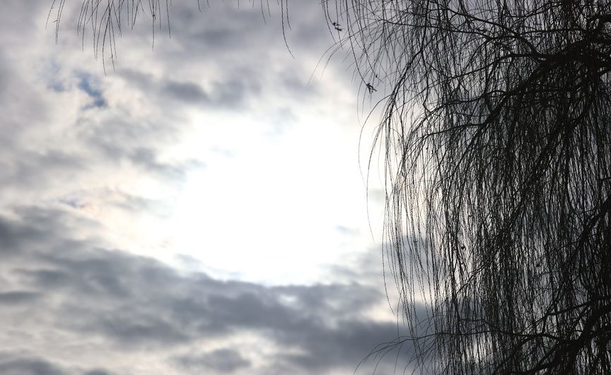 Белгидромет о погоде в ближайшие дни: сохранится умеренно теплая погода