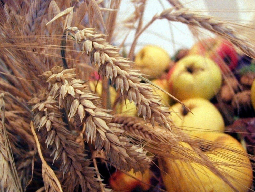 Поздравление руководства Наровлянского района с Днем работников сельского хозяйства и перерабатывающей промышленности АПК