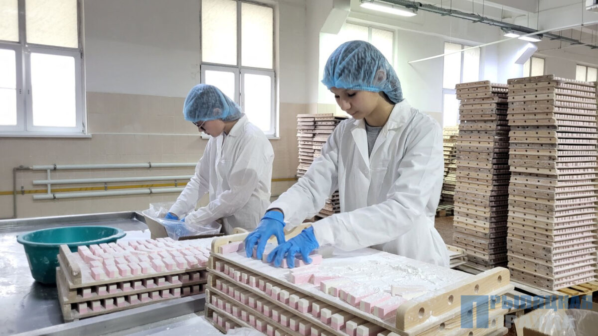 Учащиеся колледжа помогают ОАО «Красный Мозырянин»