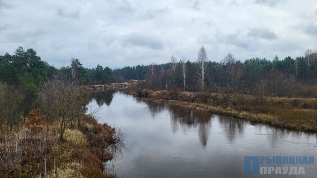 Вечно несет воды Словечна
