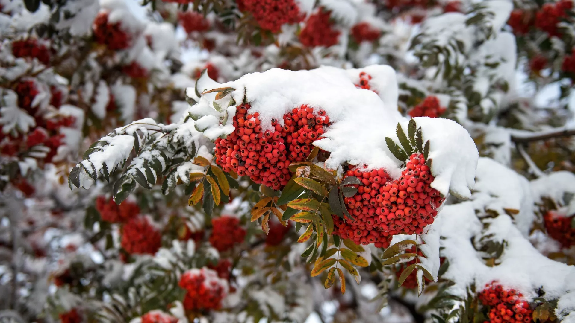 Гэты дзень у календары